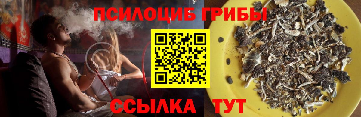 Галлюциногенные грибы Cubensis  Вход с VPN  Дивногорск  Псилоцибиновые грибы GOLDEN TEACHER 